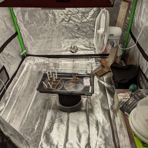 20220530-BB-A01 growlog timeline photo
