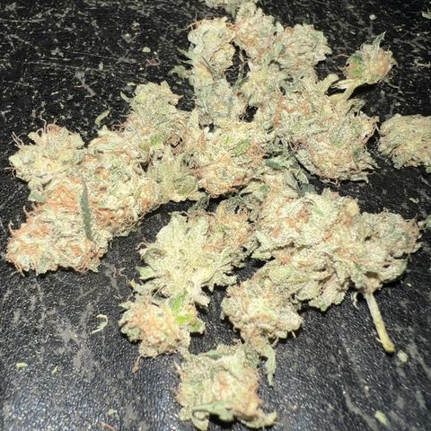 Guava cooler growlog photo: Dry secondaries 