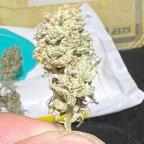 Guava cooler growlog photo: Dry secondaries 