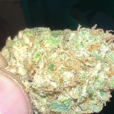 Jawbreaker #2 growlog timeline photo