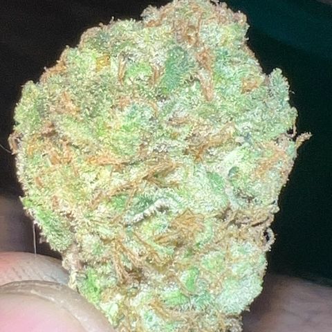 Jawbreaker #2 growlog timeline photo