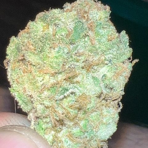 Jawbreaker #2 growlog timeline photo