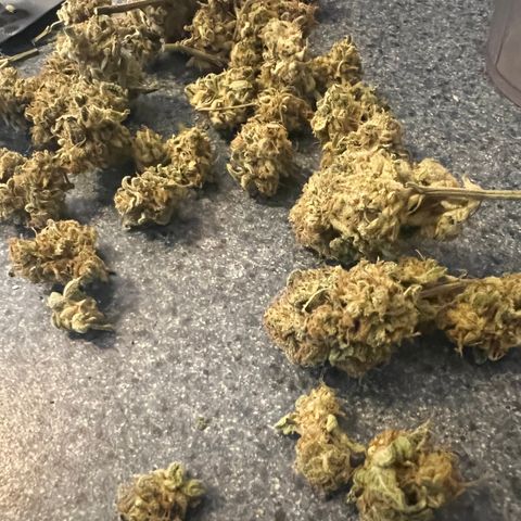 Jawbreaker #2 growlog timeline photo