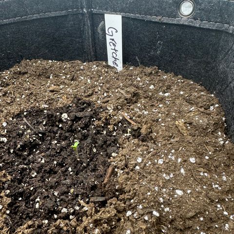 Gretchen Weiners  growlog timeline photo