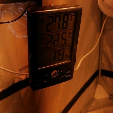 Sativinha growlog photo: Mammoth tents thermo/hygrometer. 