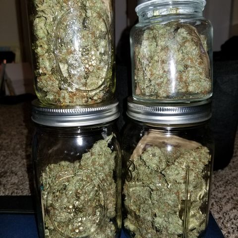 Creme stomper growlog timeline photo