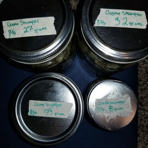 Creme stomper growlog timeline photo