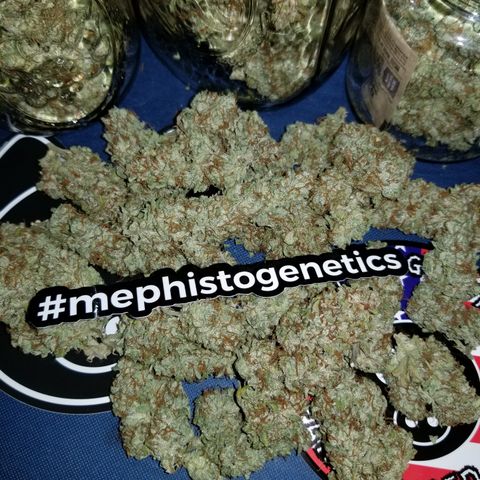 Creme stomper growlog timeline photo