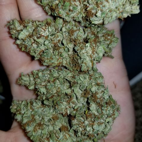 Creme stomper growlog timeline photo