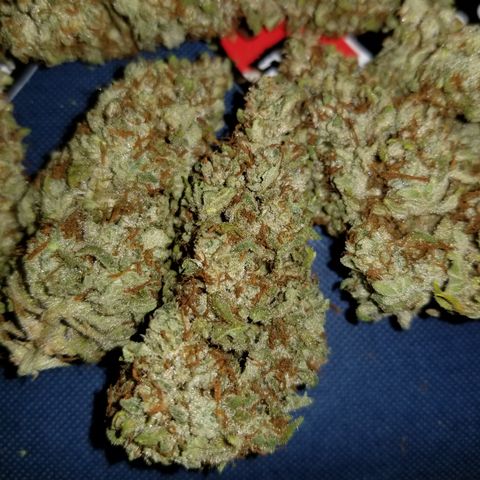 Creme stomper growlog timeline photo