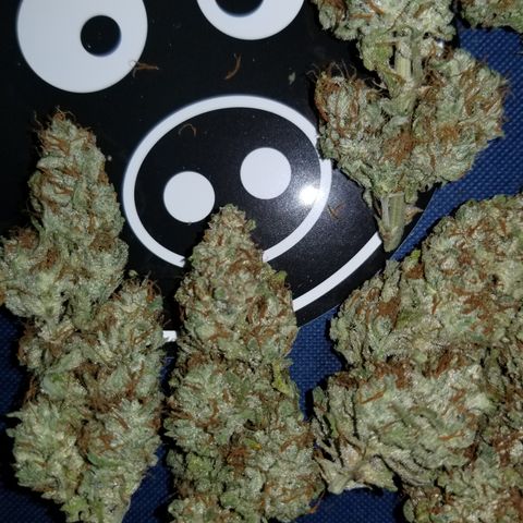 Creme stomper growlog timeline photo