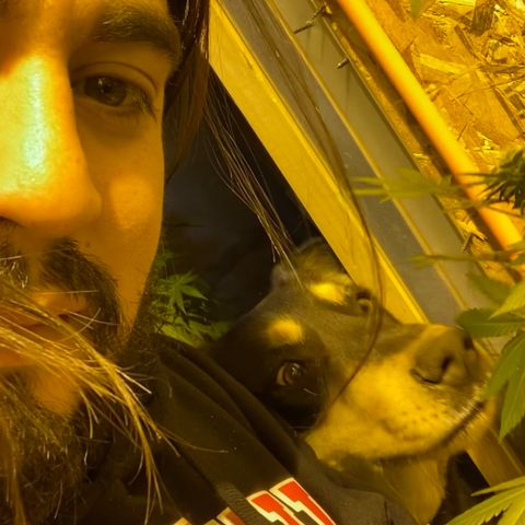 Freddy’s best #3 growlog timeline photo