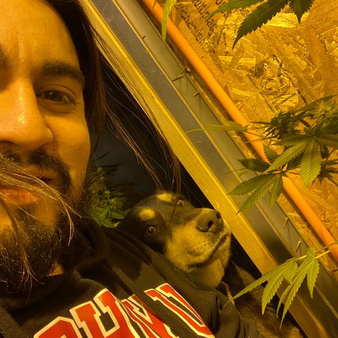 Freddy’s best #3 growlog timeline photo