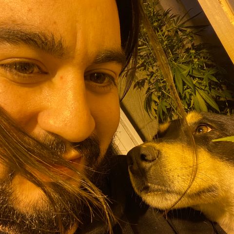 Freddy’s best #3 growlog timeline photo