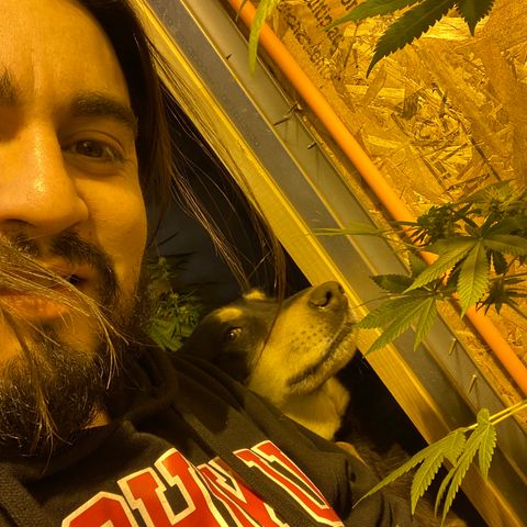 Freddy’s best #3 growlog timeline photo