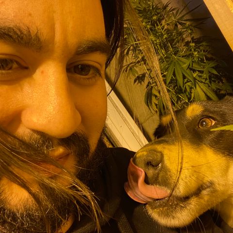 Freddy’s best #3 growlog timeline photo