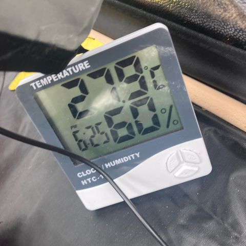 Blue Cheese growlog timeline photo