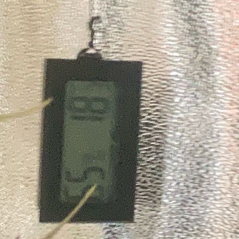 Blue Cheese growlog timeline photo