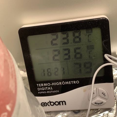 aufacia 24k gold growlog timeline photo