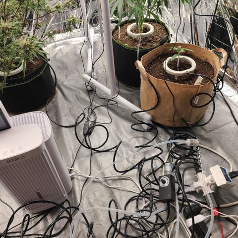 Aurora growlog photo: Auto watering system added, but untested. 