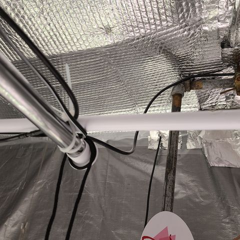Aurora growlog timeline photo