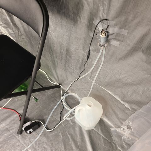 Aurora growlog timeline photo
