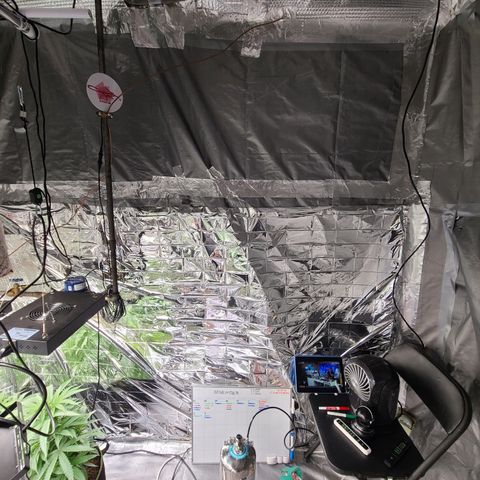 Aurora growlog timeline photo