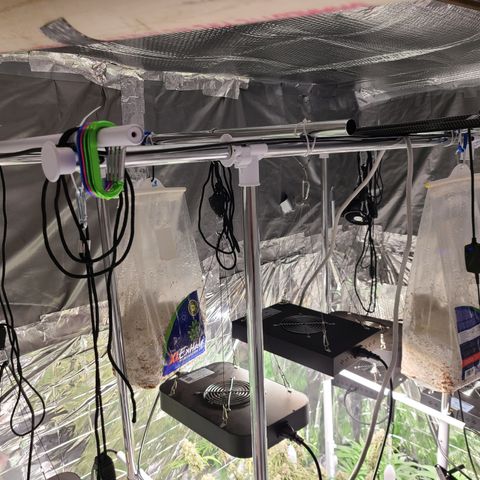 Aurora growlog timeline photo
