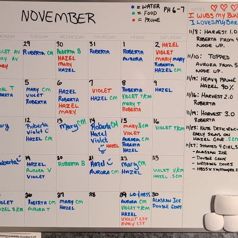 Violet growlog timeline photo
