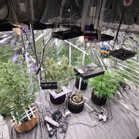 Aurora growlog timeline photo
