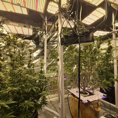 Aurora growlog timeline photo