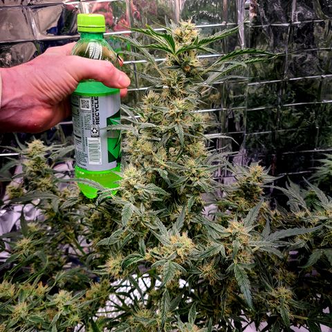 Skyy growlog timeline photo