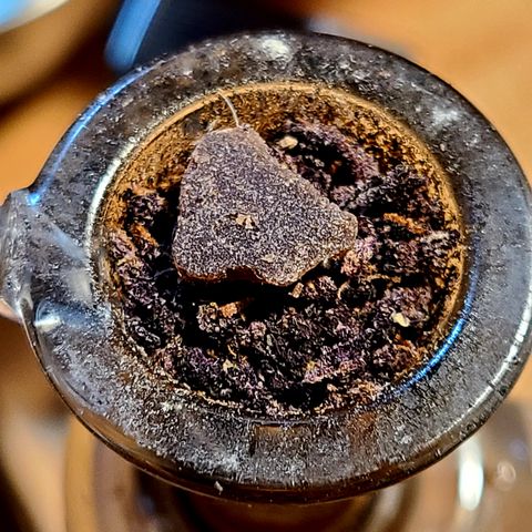Violet growlog timeline photo