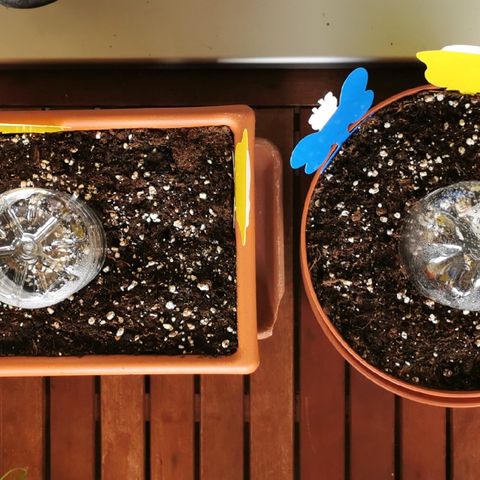 SLH Auto growlog photo: Gelb - und Blautafeln plaziert 🍀🔎