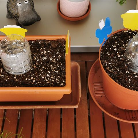 SLH Auto growlog photo: Gelb - und Blautafeln plaziert 🍀🔎