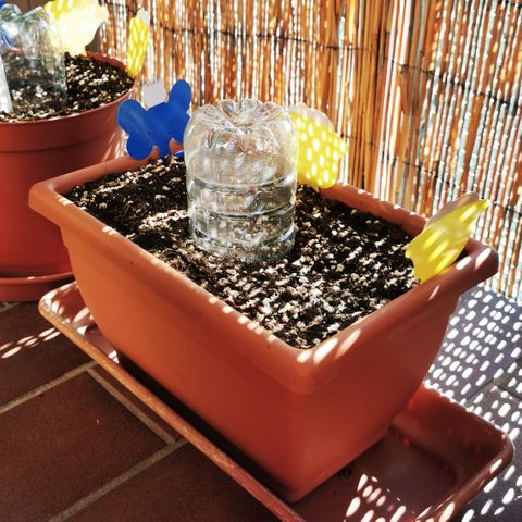 SLH Auto growlog photo: In den Schatten gewandert 🥵☀🌿
