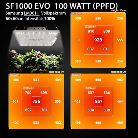 Super Buff Cherry #26 growlog photo: Spiderfamer SF1000 150 Watt EVO PPFD Chart: