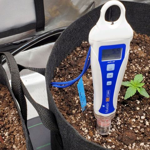 Representative Lemon growlog photo: Soil measurements