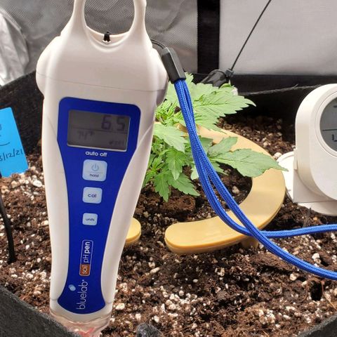 Senator Green growlog photo: Soil gauge