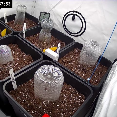 Dosidos Auto #1|N growlog timeline photo