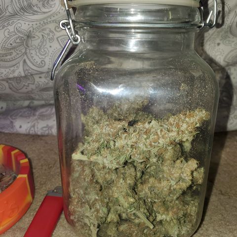 Og kush  growlog timeline photo