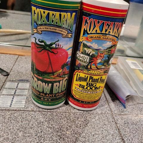 AK420 Auto growlog photo: Plant food until flowering stage 