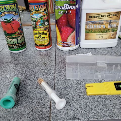 GH Cheese  growlog photo: Nutrients for cannabis seedlings 🌱