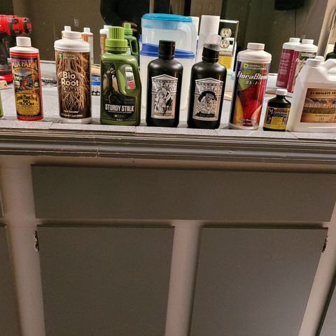 AK420 Auto growlog photo: Today's feeding 