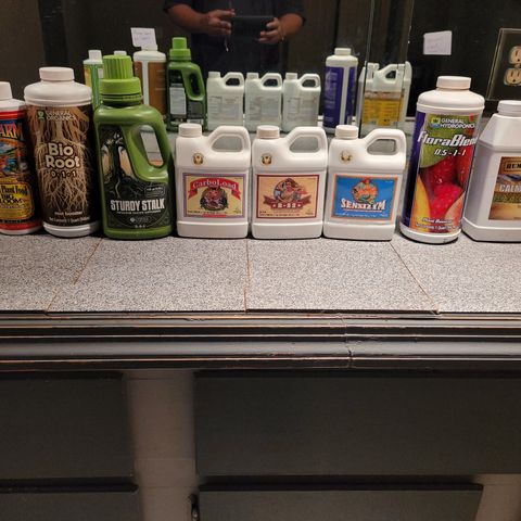 AK420 Auto growlog photo: Week 1 general feeding 