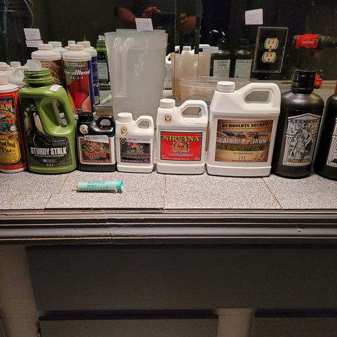 AK420 Auto growlog photo: Today's wk 2 nutrients 