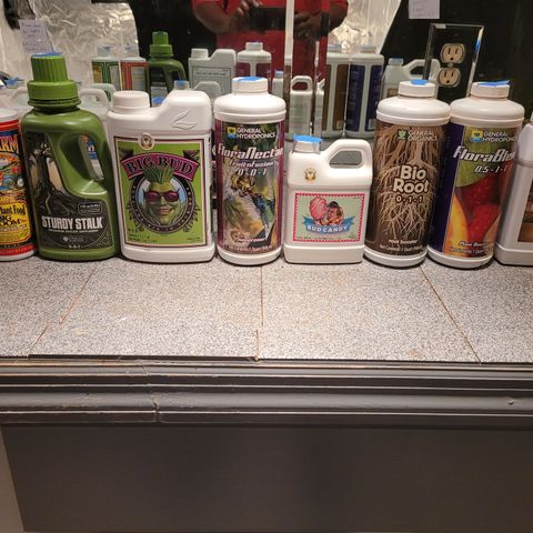 GH Cheese  growlog photo: Today's general nutrients 