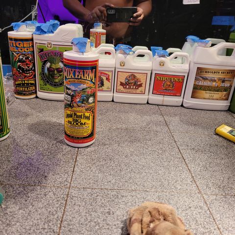 AK420 Auto growlog photo: Today's nutrients 