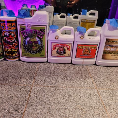 AK420 Auto growlog photo: Today's nutrients 