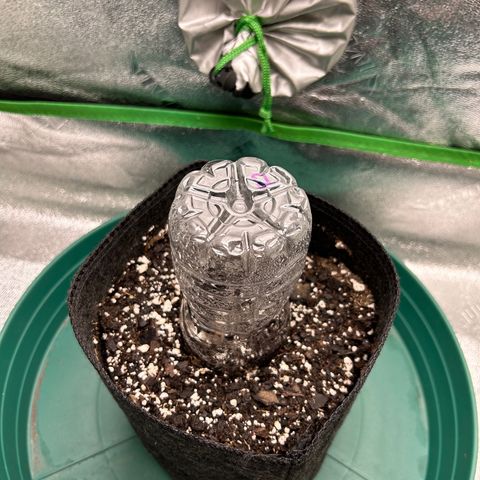 2 growlog timeline photo